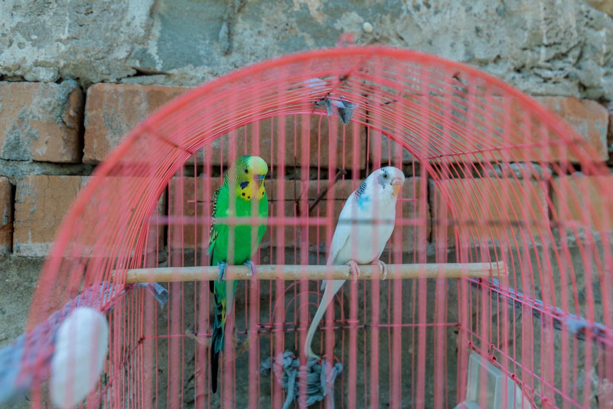 Apartament Mariana *